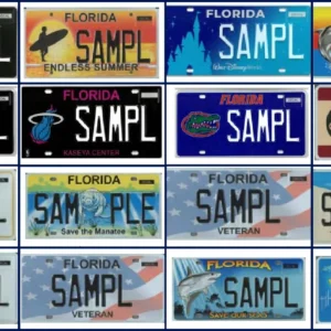 Specialty Plates (Non-Personalized)